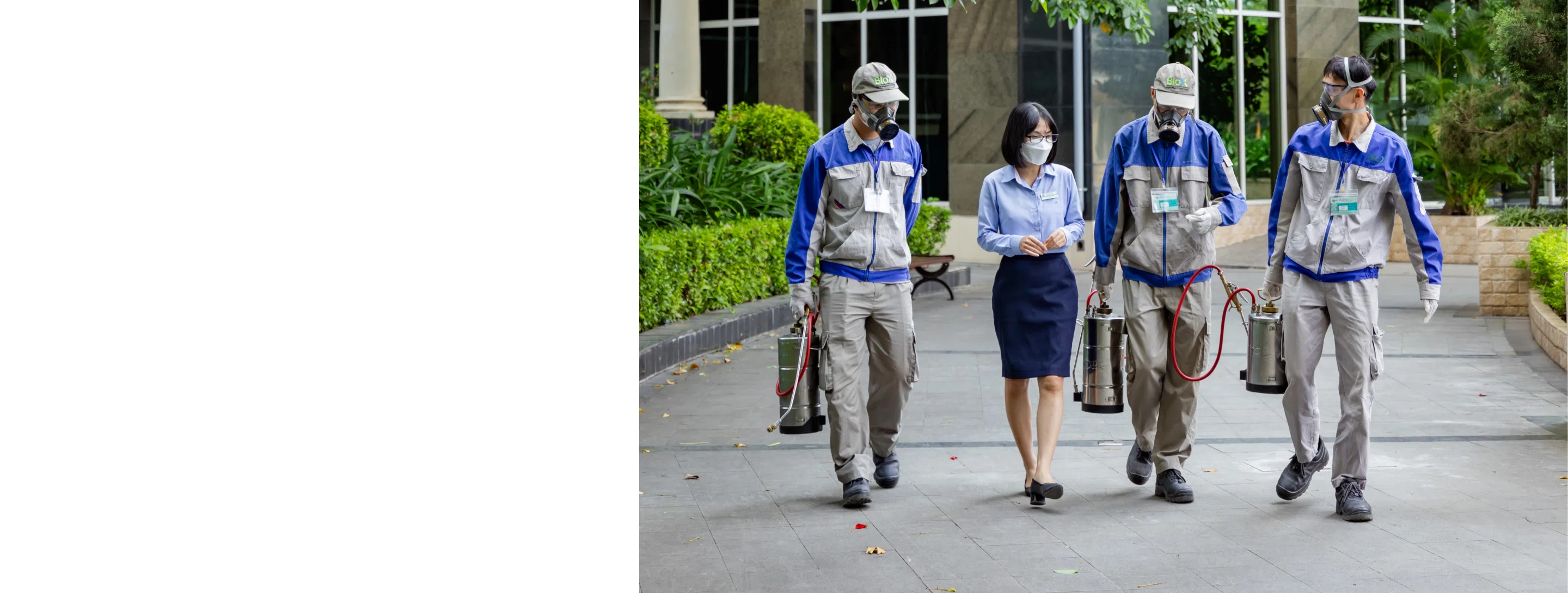 background image house hold