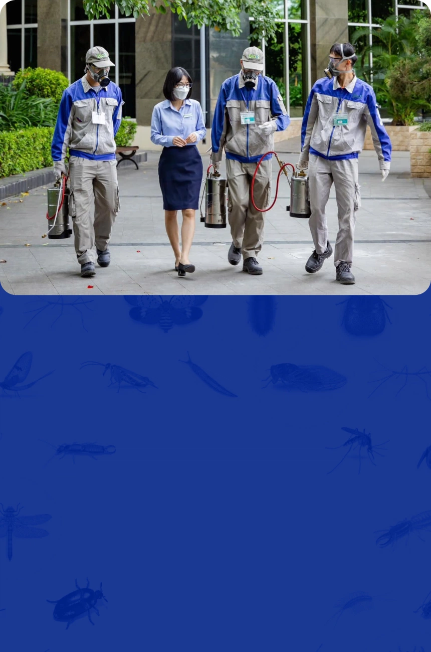 background image house hold mobile