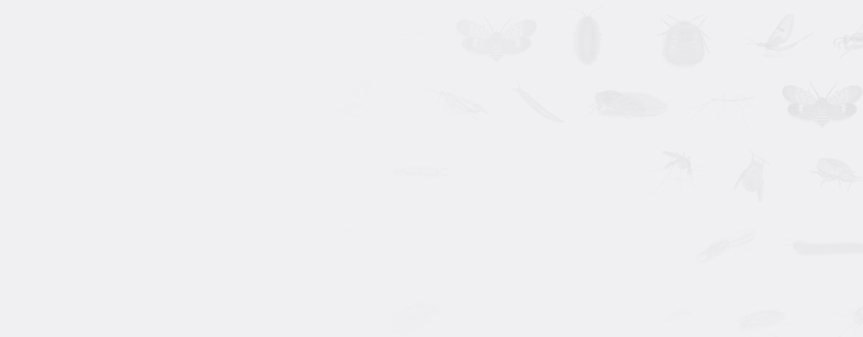 background introduce BioX