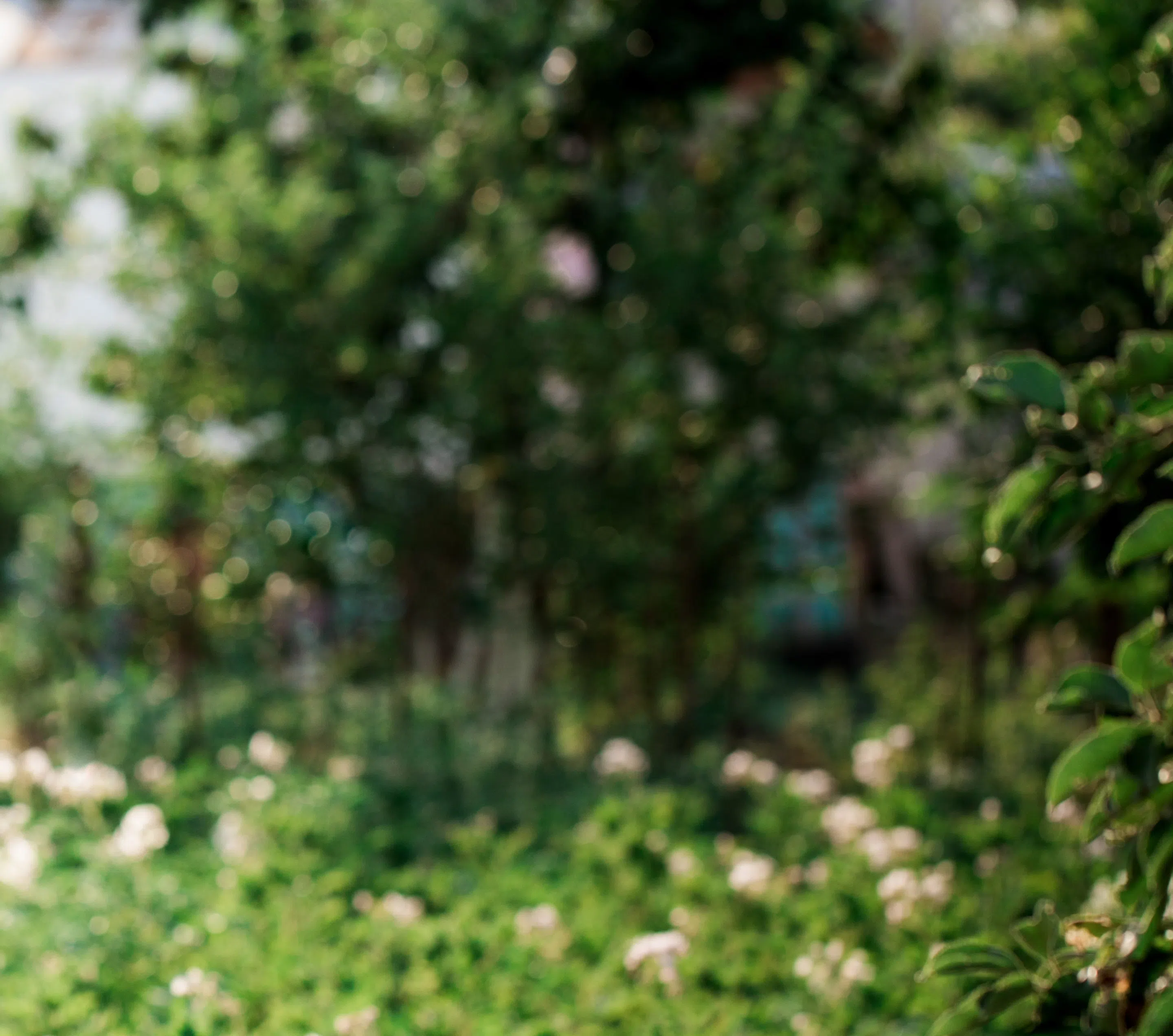 background service BioX